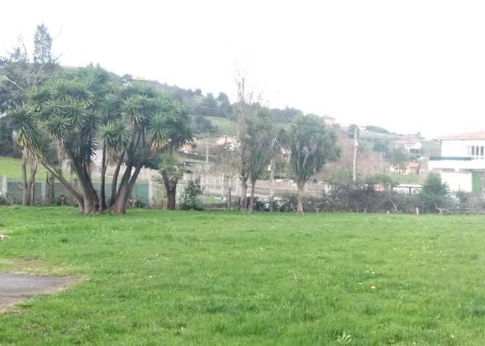 Las Palmeras Affittacamere