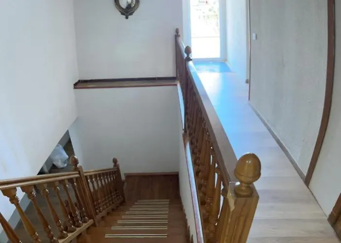 Guest house Las Palmeras